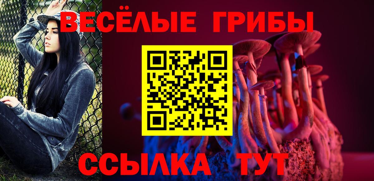 Псилоцибиновые грибы Cubensis Павлово