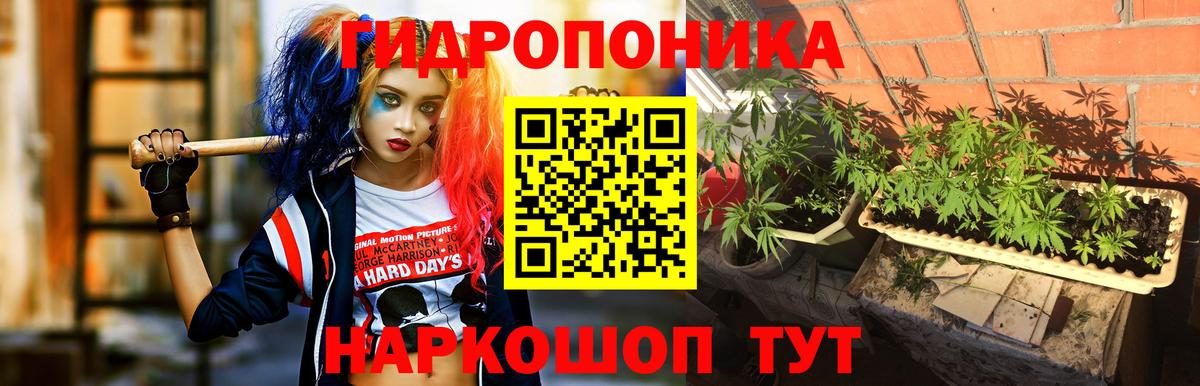 Канабис Bruce Banner  Вход с VPN  Каннабис ГИДРОПОН  Павлово  МАРИХУАНА Bruce Banner 